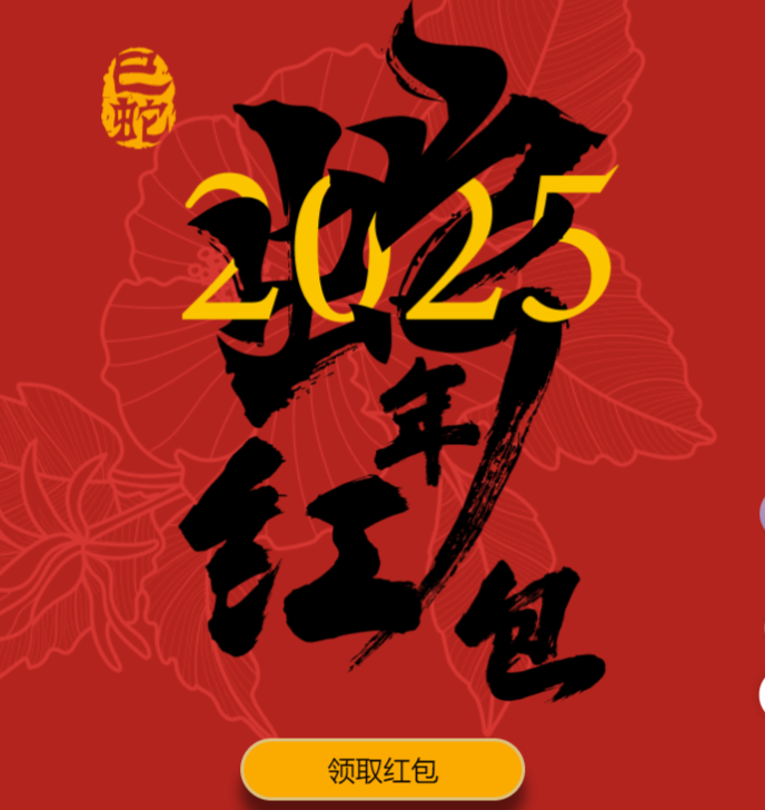 专业炒货_小青